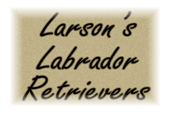www.LarsonsLabs.com