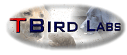 TBird Labs.com